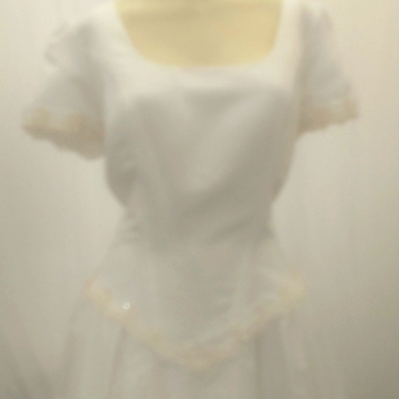 Wedding Gown - Picture 2 of 12